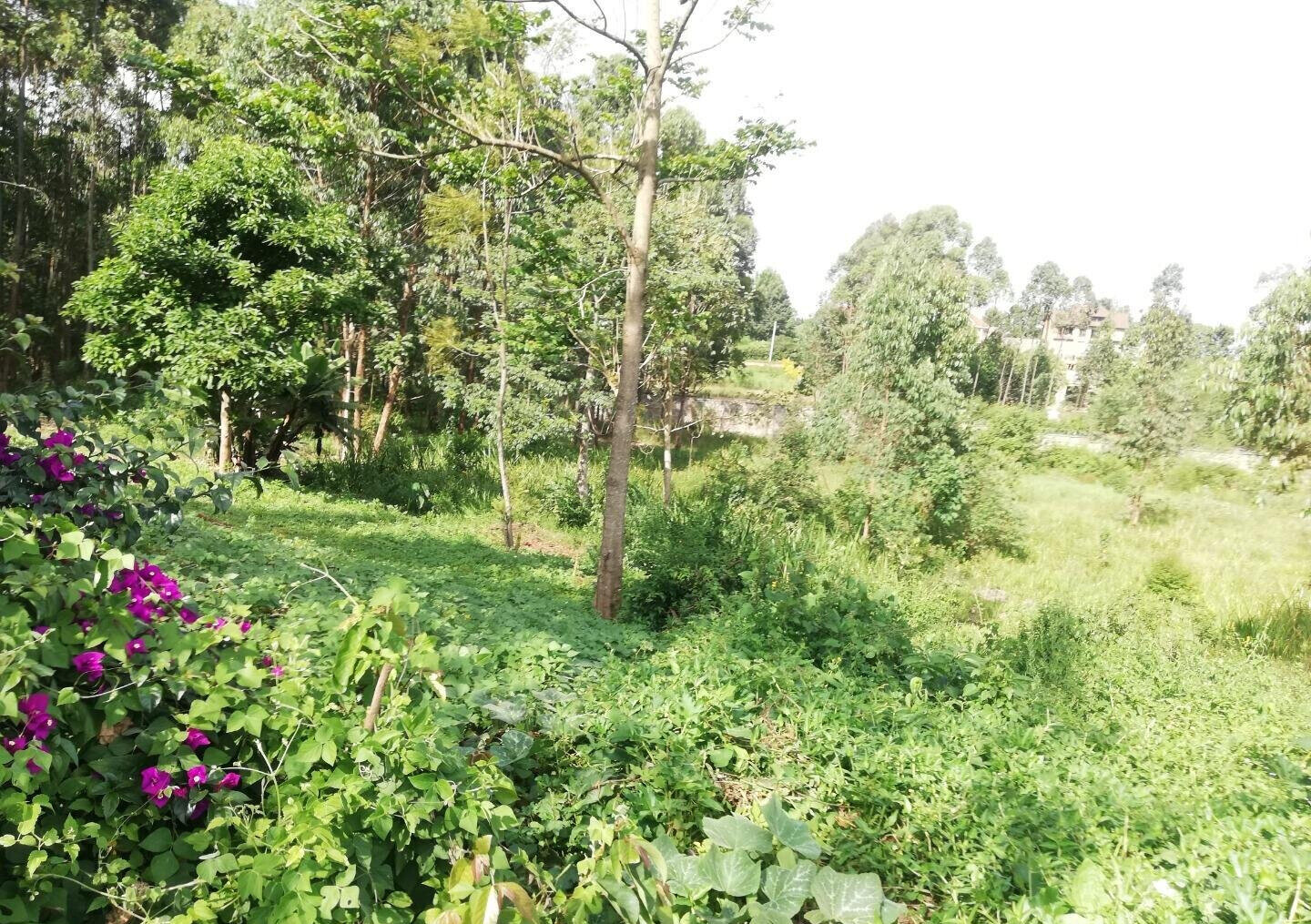 Garden Oasis on Half Acre