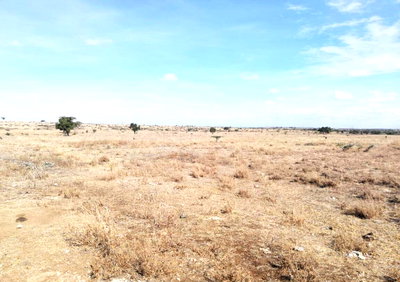 1779.2-Acre Garden Land