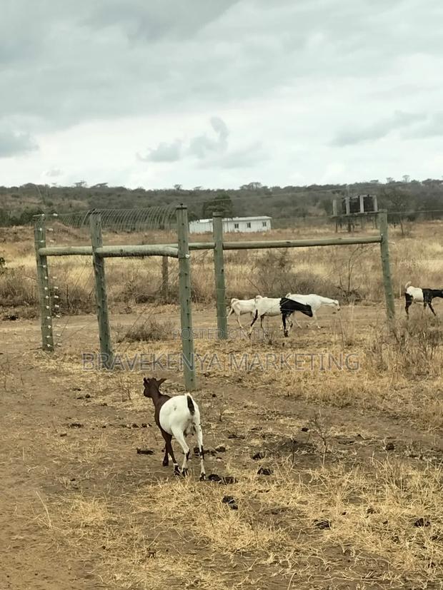 2000-Acre Land for Sale on Namanga Road