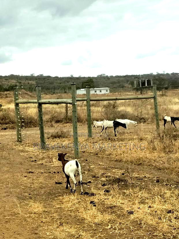 2000-Acre Land for Sale on Namanga Road