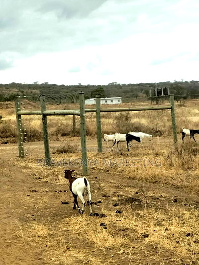 2000-Acre Land for Sale on Namanga Road - Image 2