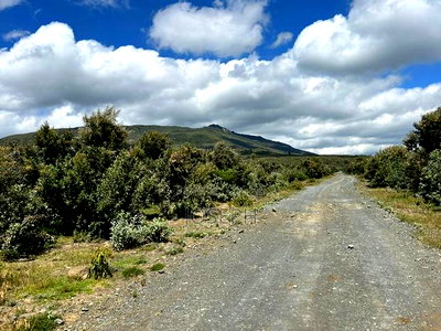 Naivasha 1acre Plots - Image 13