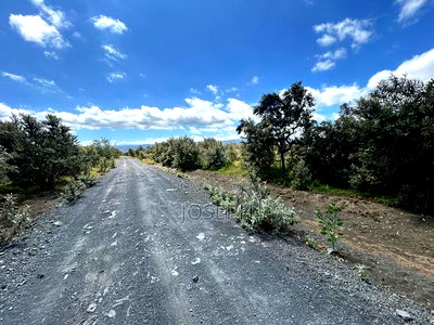 Naivasha 1acre Plots - Image 11