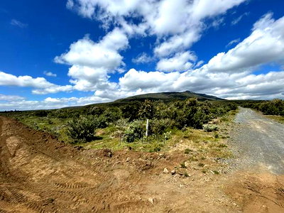 Naivasha 1acre Plots - Image 5