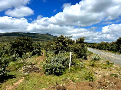 Naivasha 1acre Plots - Image 10