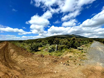 Naivasha 1acre Plots - Image 4