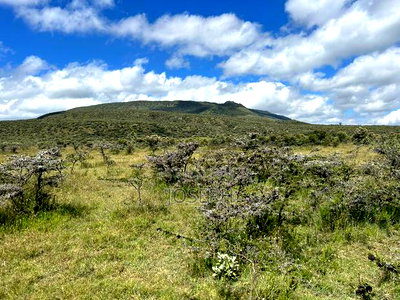 Naivasha 1acre Plots - Image 12