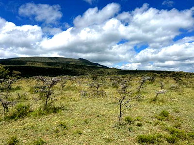 Naivasha 1acre Plots - Image 9