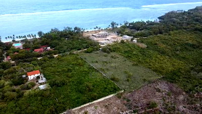 2.5 Acre Plot 2nd Row With Beach Access for Sale in Vipingo - Image 3