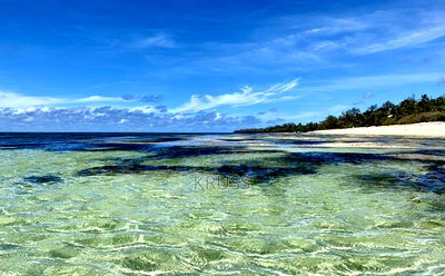 2.5 Acre Plot 2nd Row With Beach Access for Sale in Vipingo - Image 4