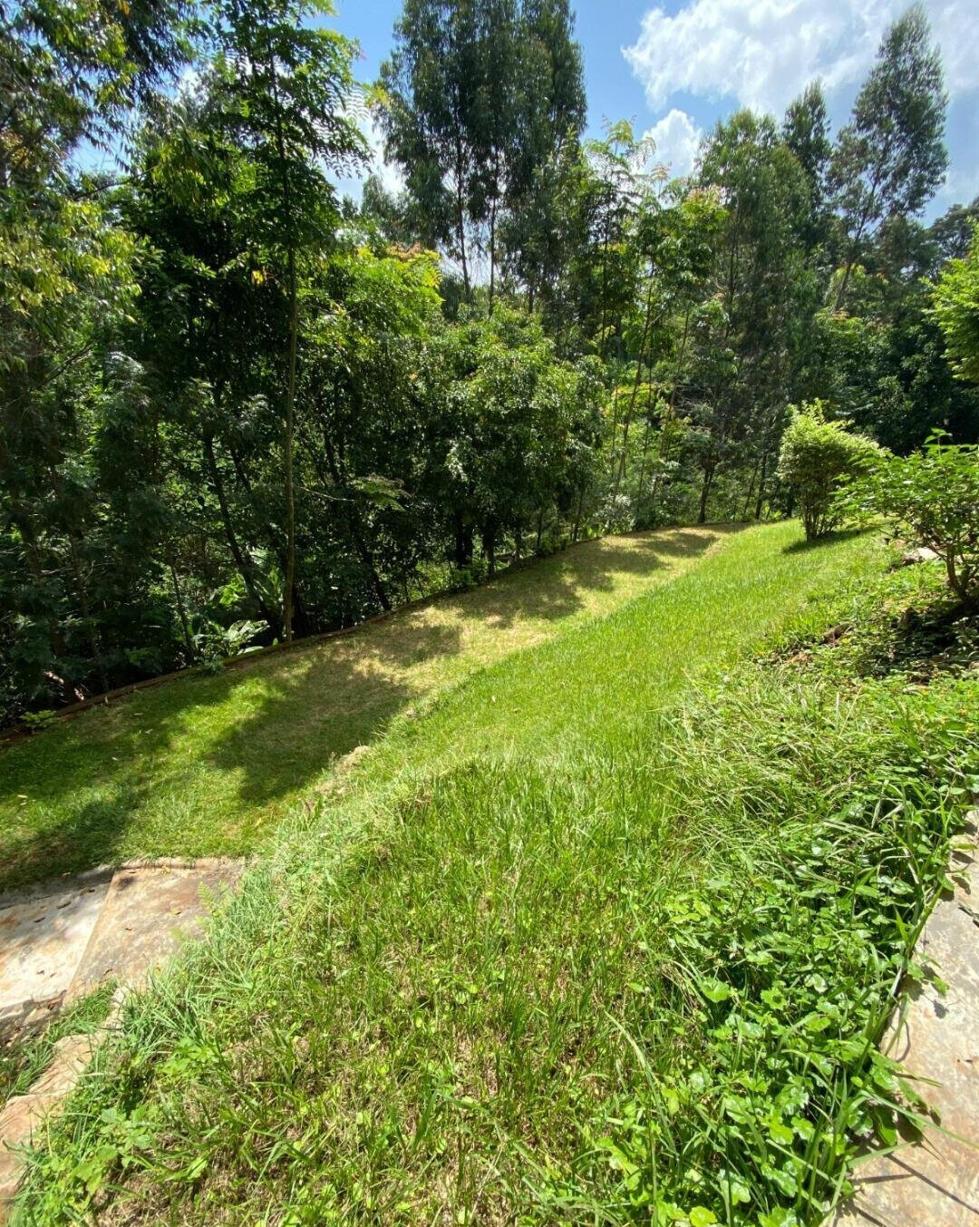 KSh 300K 5BR Mansion