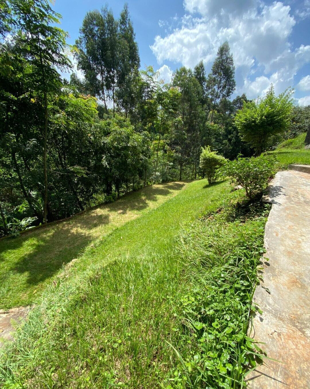 KSh 300K 5BR Mansion