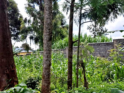 100by100 Available Plot for Sale in Kabete Gathiga - Image 8