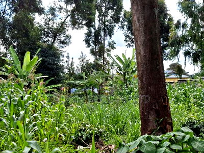 100by100 Available Plot for Sale in Kabete Gathiga - Image 6