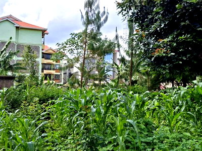 100by100 Available Plot for Sale in Kabete Gathiga - Image 9