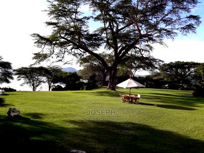 Prime Lake Frontage Conservancy Ranch Naivasha - Image 4