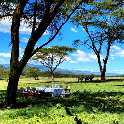 Prime Lake Frontage Conservancy Ranch Naivasha - Image 6