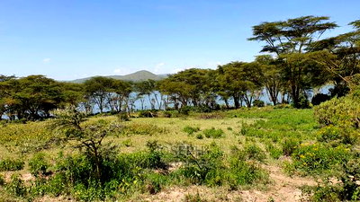 Prime Lake Frontage Conservancy Ranch Naivasha - Image 8