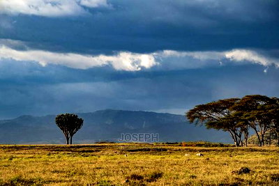 Prime Lake Frontage Conservancy Ranch Naivasha - Image 1