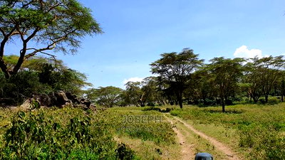 Prime Lake Frontage Conservancy Ranch Naivasha - Image 7