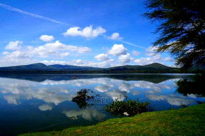 Prime Lake Frontage Conservancy Ranch Naivasha - Image 2