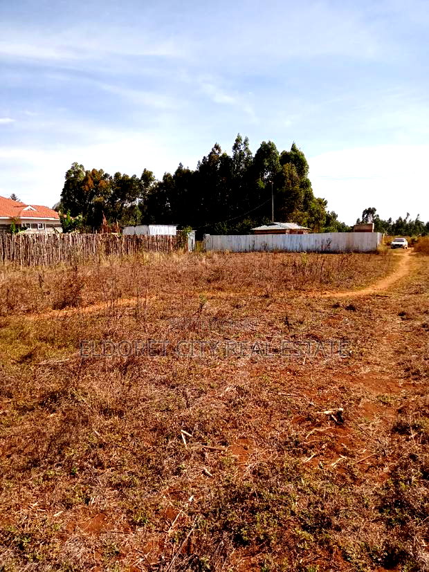 1/4 Plot Outspan After Annex