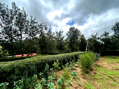 Kiserian Attractive Residential 1/2acres - Image 6