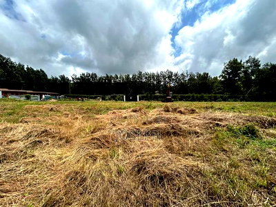 Kiserian Attractive Residential 1/2acres - Image 14