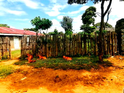 Plot for Sale With Semi Permanent Houses in Freearea - Image 1