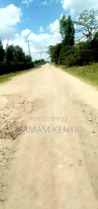 Land for Sale - Image 2