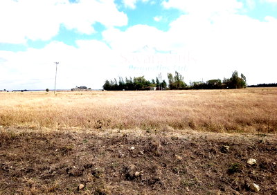 KSh 5.5M per Acre Land Deal