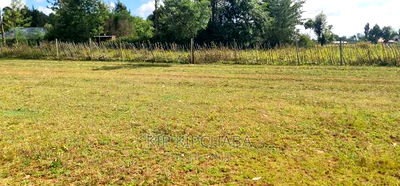 Prime Plots for Sale in Kuinet Eldoret - Image 9