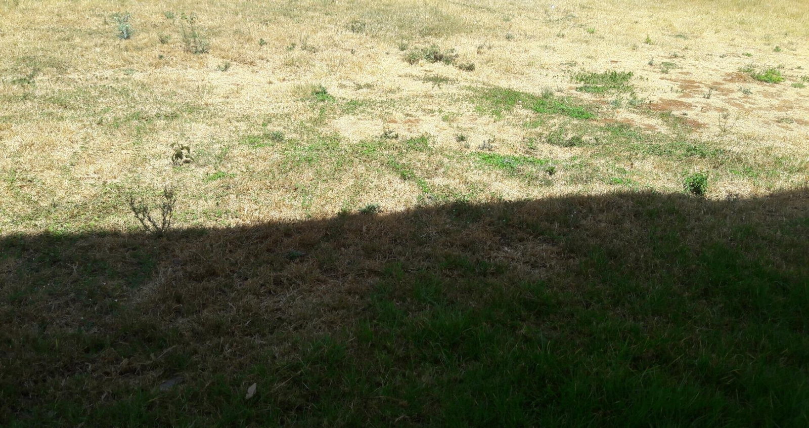 Half Acre Spring Valley Gem