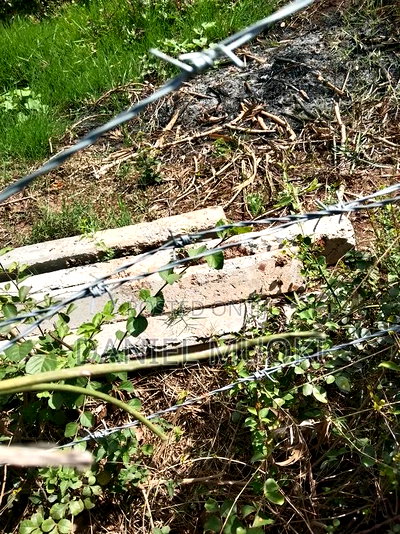 Muoki Daniel - Image 6