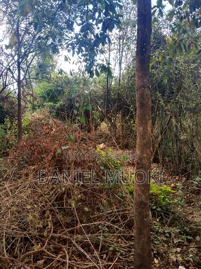 Muoki Daniel - Image 3