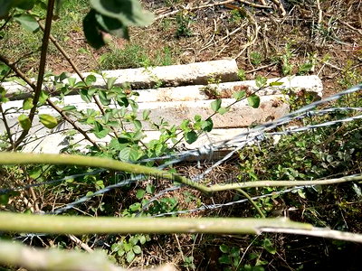 Muoki Daniel - Image 4