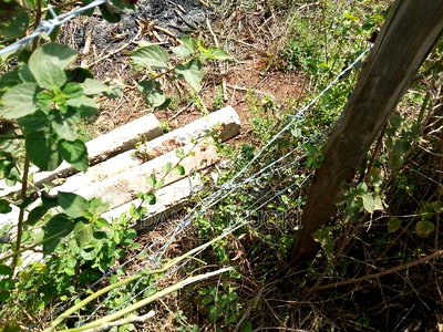 Muoki Daniel - Image 2