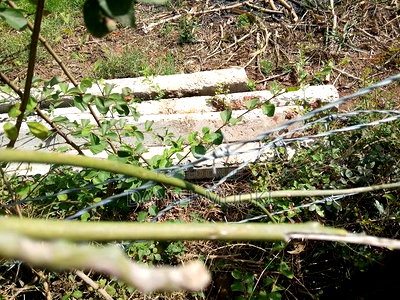 Muoki Daniel - Image 1