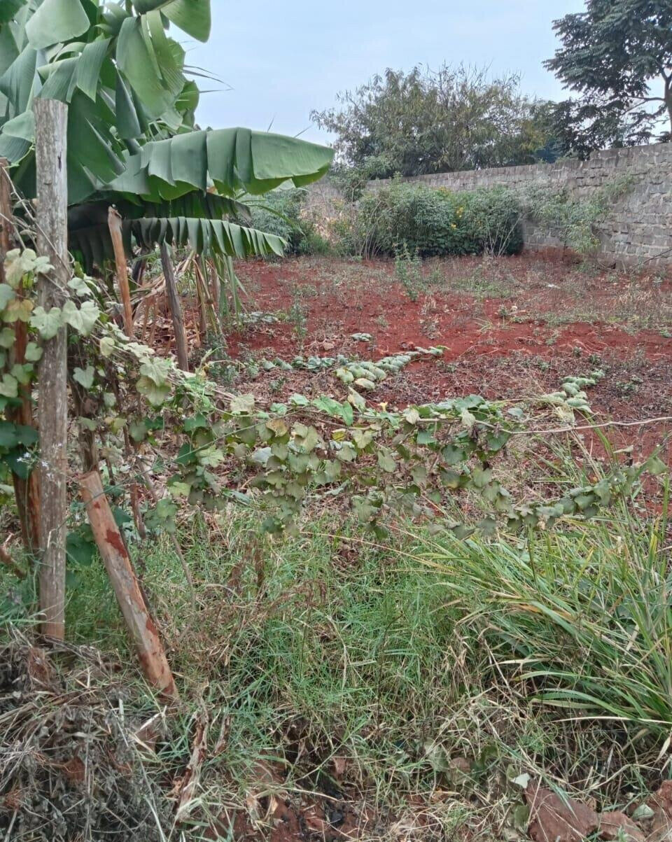 50x100 Plot with Garden in Thika