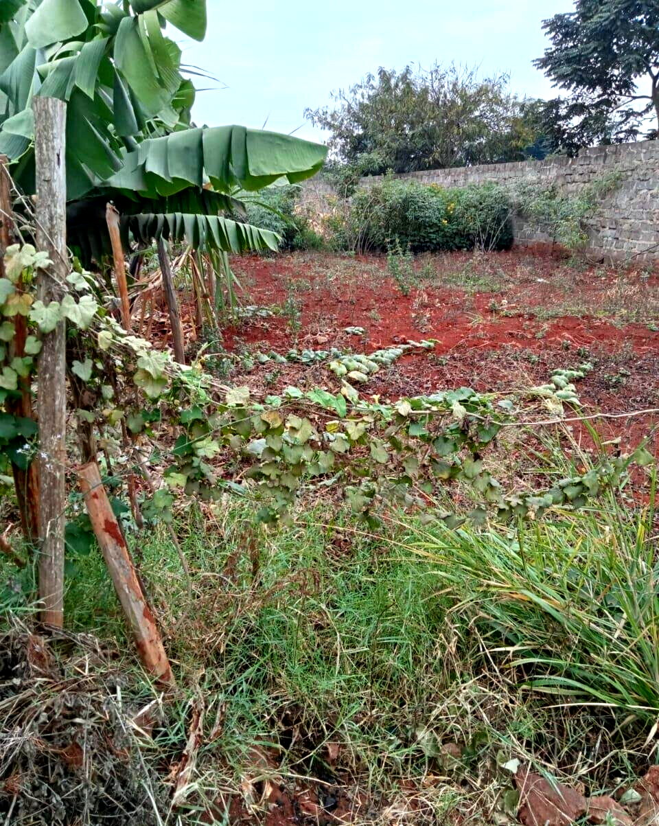 50x100 Plot with Garden in Thika