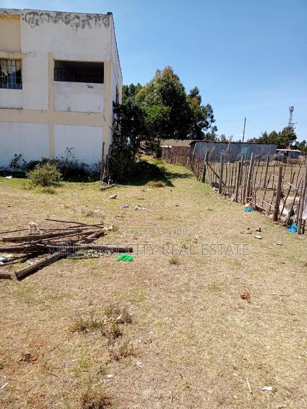 1/8 Plot Mti Moja With Title