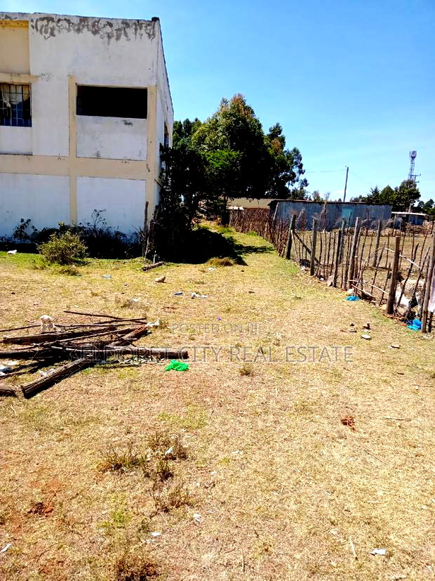 1/8 Plot Mti Moja With Title