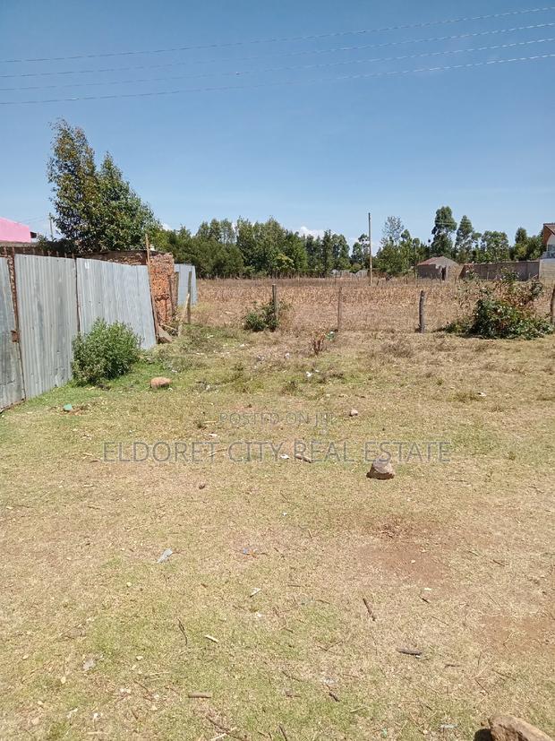 1/8 Plot Mti Moja With Title