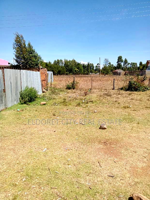 1/8 Plot Mti Moja With Title