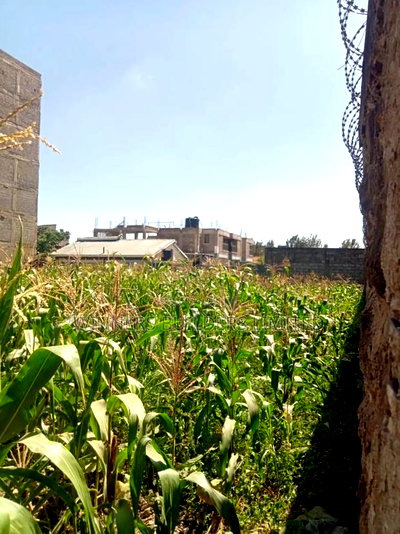 50 by 100 at Mwihoko - Image 2