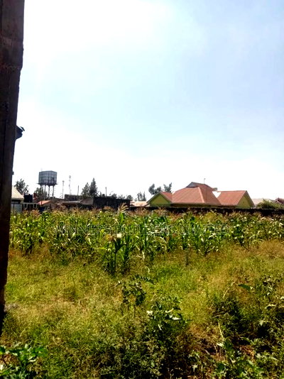 50 by 100 at Mwihoko - Image 3