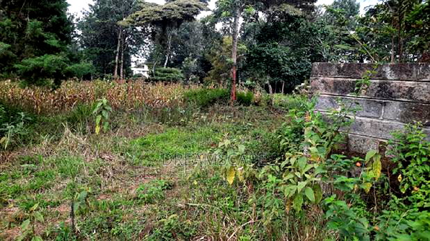 Karen 5 Acres- For Sale