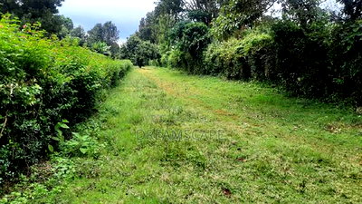 Karen 5 Acres- For Sale - Image 3