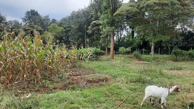 Karen 5 Acres- For Sale