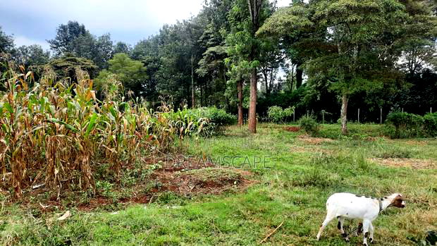 Karen 5 Acres- For Sale